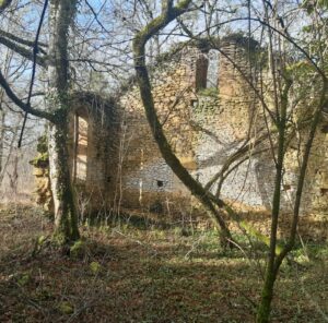 PHOTO-2025-10-04-11-34-41