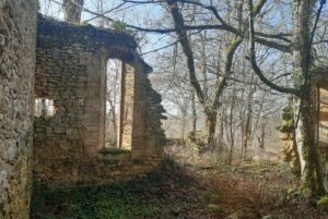 PHOTO-2025-10-04-11-35-42