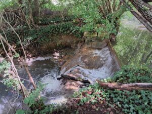 PHOTO-2025-10-04-11-41-04