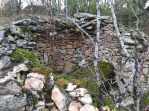 PHOTO-2025-10-04-11-42-00