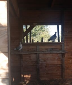 PHOTO-2025-10-04-11-42-48