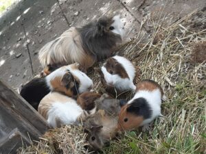 PHOTO-2025-10-04-12-02-26