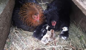 PHOTO-2025-10-04-12-02-59