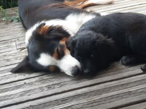 PHOTO-2025-10-04-12-04-55