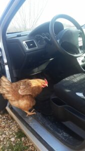 PHOTO-2025-10-04-12-10-39