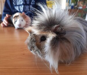 PHOTO-2025-10-04-12-10-39 2