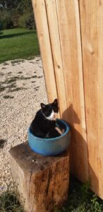 PHOTO-2025-10-04-12-10-39 3